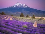 AIMER LA NATURE