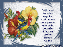 http://www.frizou.org/cartes/jeudi/15/11.htmll
