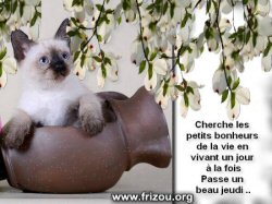 http://www.frizou.org/cartes/jeudi/15/9.html