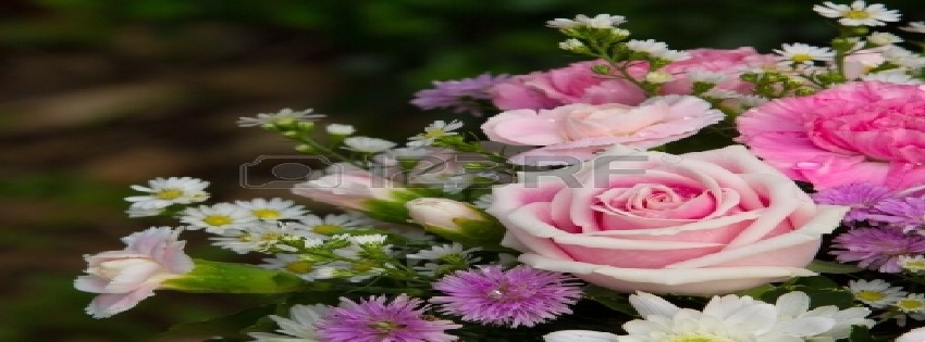 6 Facebook Timeline Cover