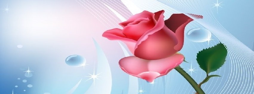 1 Facebook Timeline Cover