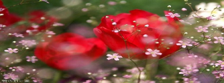 10 Facebook Timeline Cover