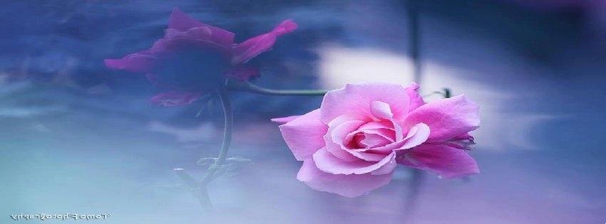 11 Facebook Timeline Cover