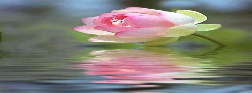 8 Facebook Timeline Cover