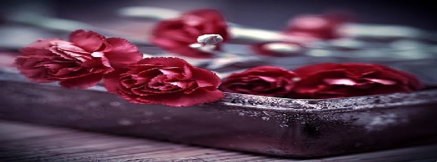 13 Facebook Timeline Cover