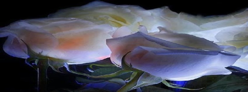 18 Facebook Timeline Cover