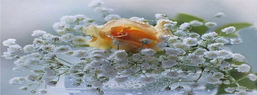 19 Facebook Timeline Cover