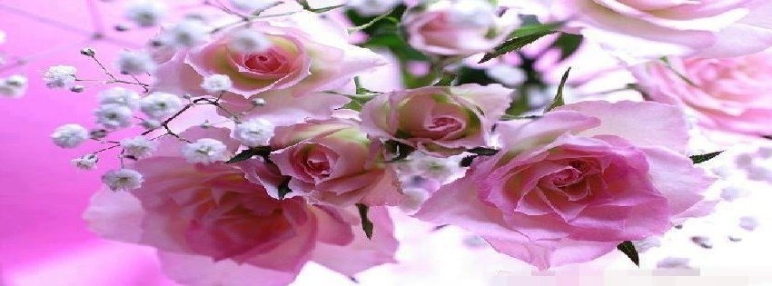 15 Facebook Timeline Cover