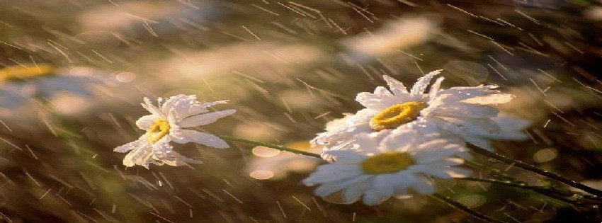 22 Facebook Timeline Cover