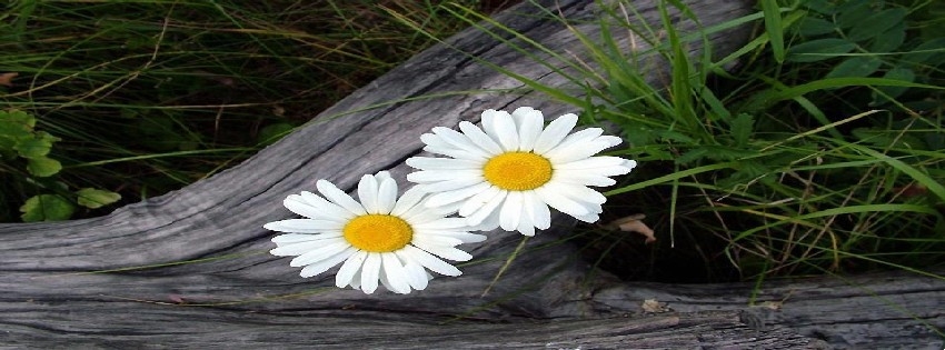 24 Facebook Timeline Cover