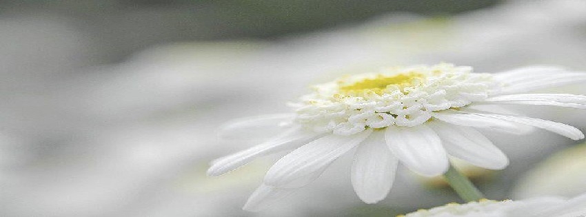 25 Facebook Timeline Cover