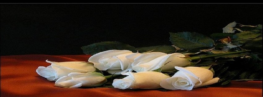 26 Facebook Timeline Cover