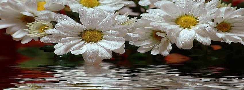 27 Facebook Timeline Cover