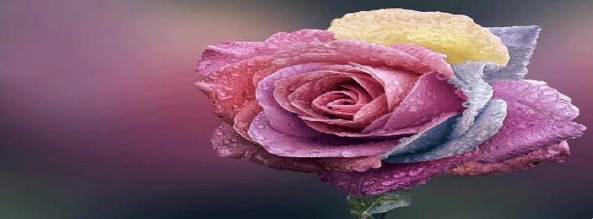 29 Facebook Timeline Cover