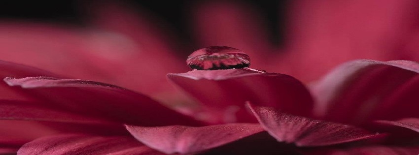 31 Facebook Timeline Cover