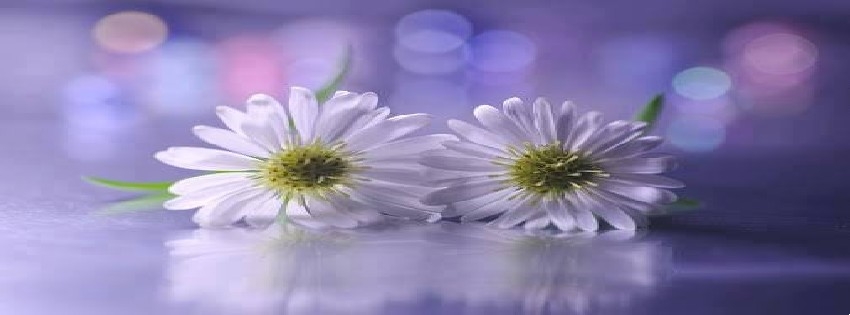 33 Facebook Timeline Cover