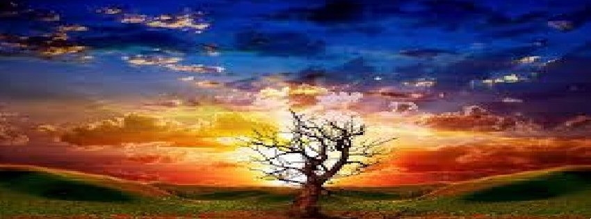  Facebook Timeline Cover