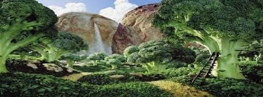 4 Facebook Timeline Cover