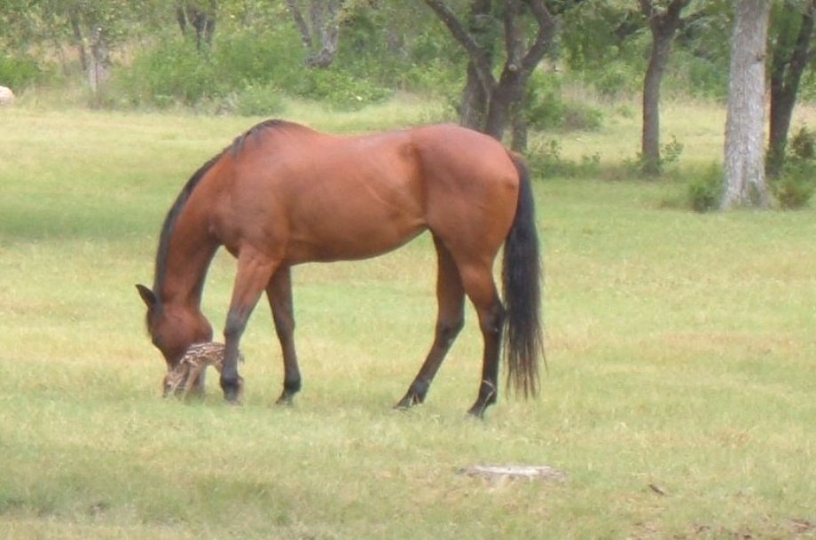 ATT000032.jpg